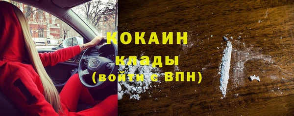 прущие грибы Волоколамск