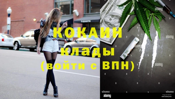 прущие грибы Волоколамск