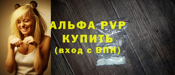 прущие грибы Волоколамск