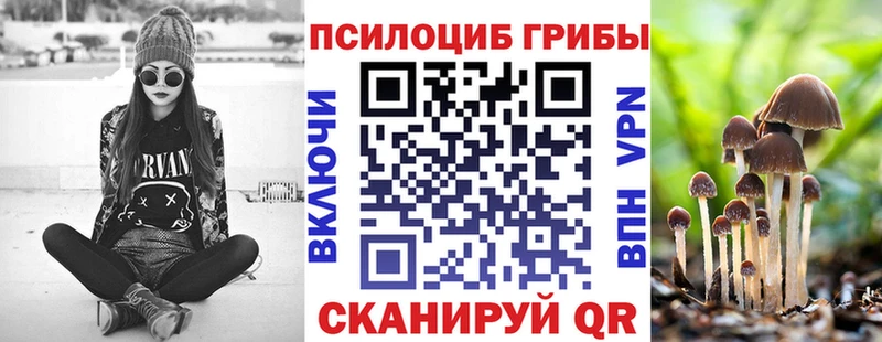 Псилоцибиновые грибы мицелий  Старица 